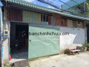Hình đại diện