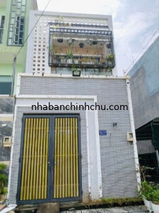 Hình đại diện