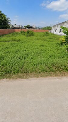 Bán Đất Thửa 02834 Vườn Lài, Phường An Phú Đông, Quận 12, Thành Phố Hồ Chí Minh